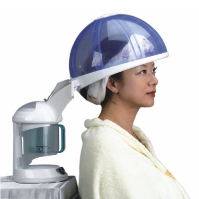 large2 mini hair facial steamer 1